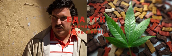 эйфоретик Аркадак