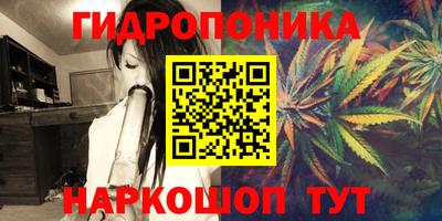 индика Кулебаки
