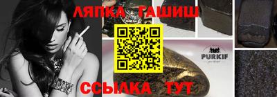 индика Кулебаки