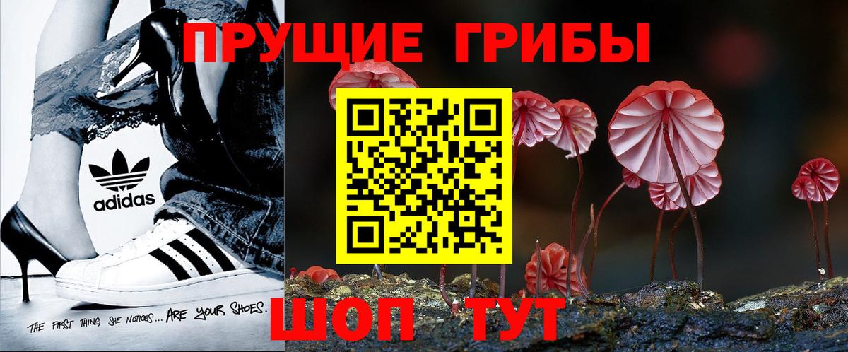 Галлюциногенные грибы Cubensis  Вход с VPN  Галлюциногенные грибы GOLDEN TEACHER  Сочи 