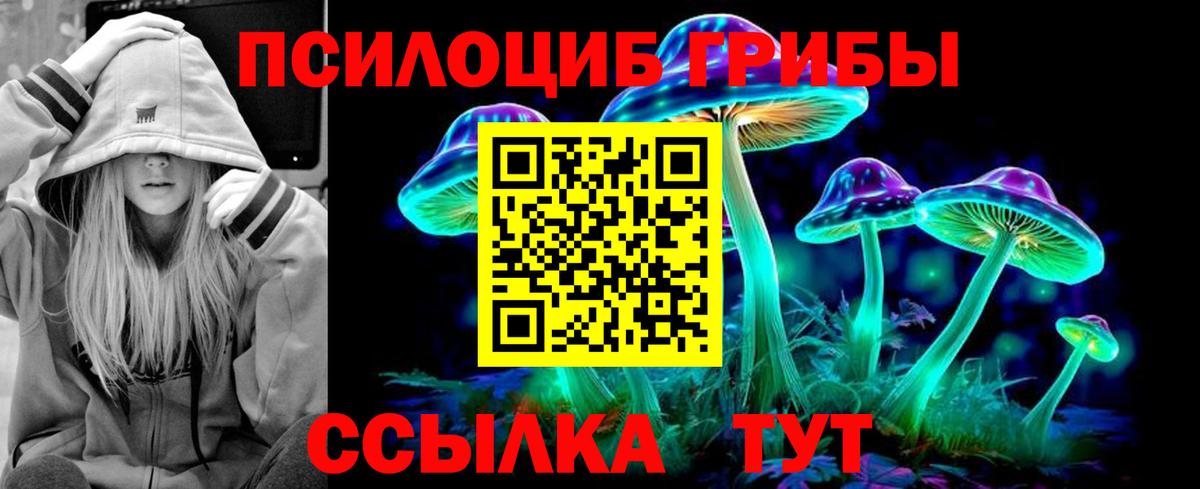 Псилоцибиновые грибы Magic Shrooms Сочи